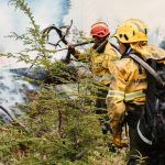 Tierra del Fuego envía brigadistas para combatir incendios en el Parque Nacional Nahuel Huapi