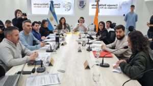concejo deliberante (8)