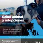 Zoonosis municipal realizará una jornada de salud animal en el paseo de las rosas