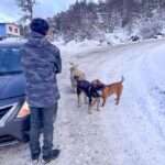 Ushuaia promueve la tenencia responsable de mascotas con recorridas barriales en Andorra