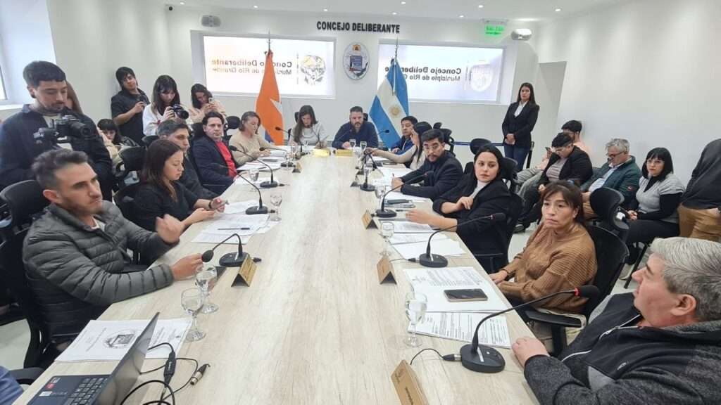 Concejo Deliberante-Audiencia Publica