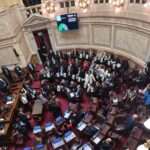 El Senado aprobó por unanimidad la Ley de Emergencia en Discapacidad: actualización de aranceles, pensiones y mejoras en prestaciones