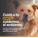 Gobierno de Tierra del Fuego lanza la campaña “Cuidá tu perro, cuidemos el ambiente” para frenar el impacto de los perros sueltos y asilvestrados